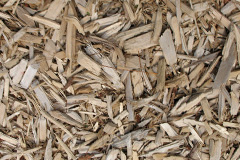 biomass boilers Llanywern